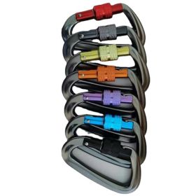 Aluminum Carabiner Clips 5 Pack D Shape