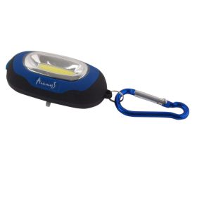 Keychain with Carabiner